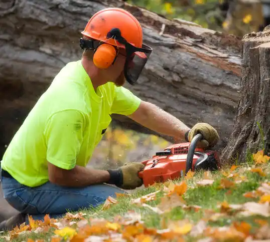 tree services Woodson Terrace